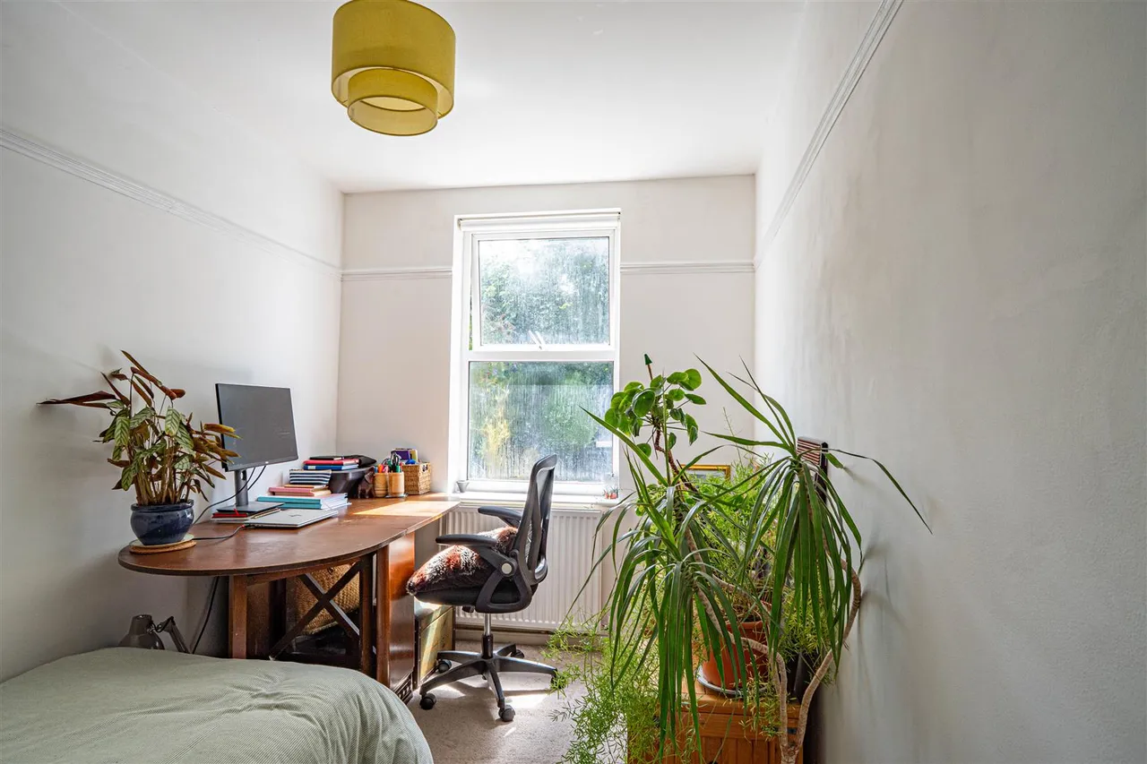 Mount Pleasant Road, Hastings, photo 20
