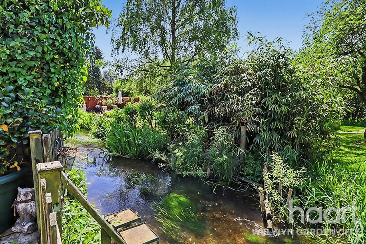 Codicote Road, Welwyn, AL6, photo 21