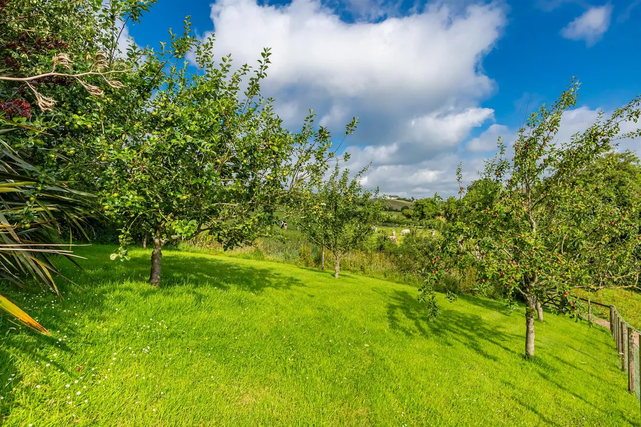 Tullynakill Road, comber, BT23, photo 47