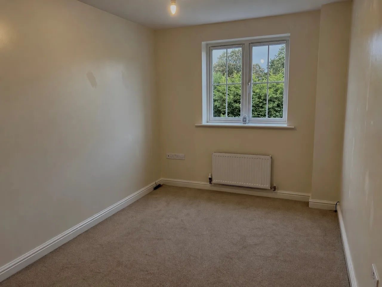 Ashleigh Avenue, Sutton-In-Ashfield, NG17, photo 8