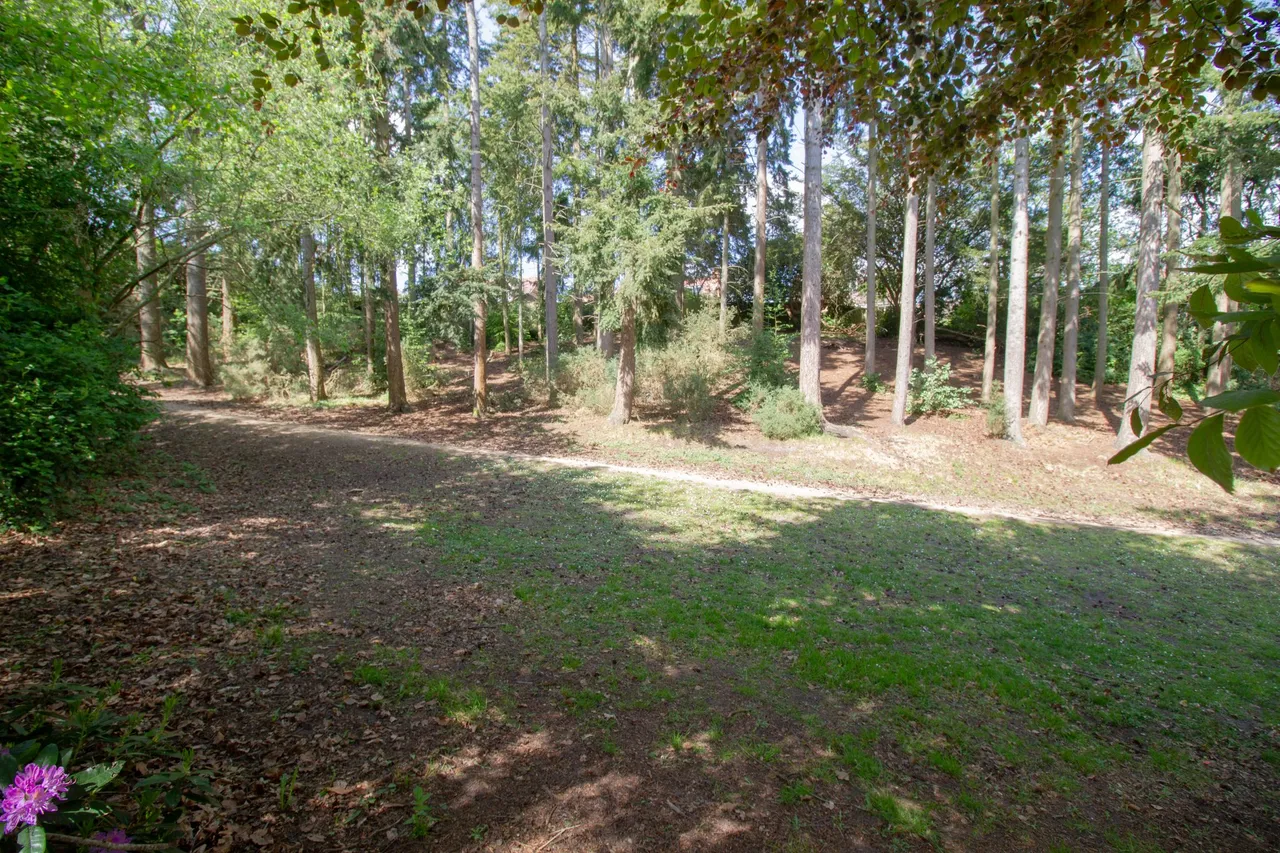 Fullerton Close, Fleet, GU51 1BJ, photo 18