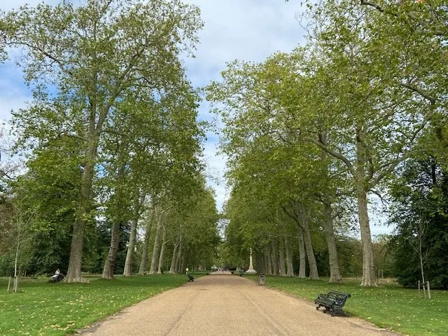 Orsett Terrace, Paddington, W2, photo 11