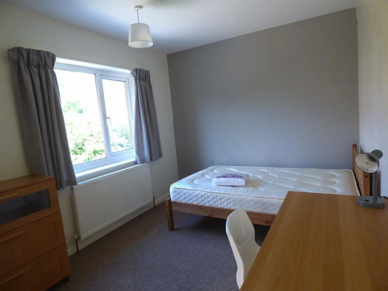 Prince Charles Road, Exeter, EX4, photo 10