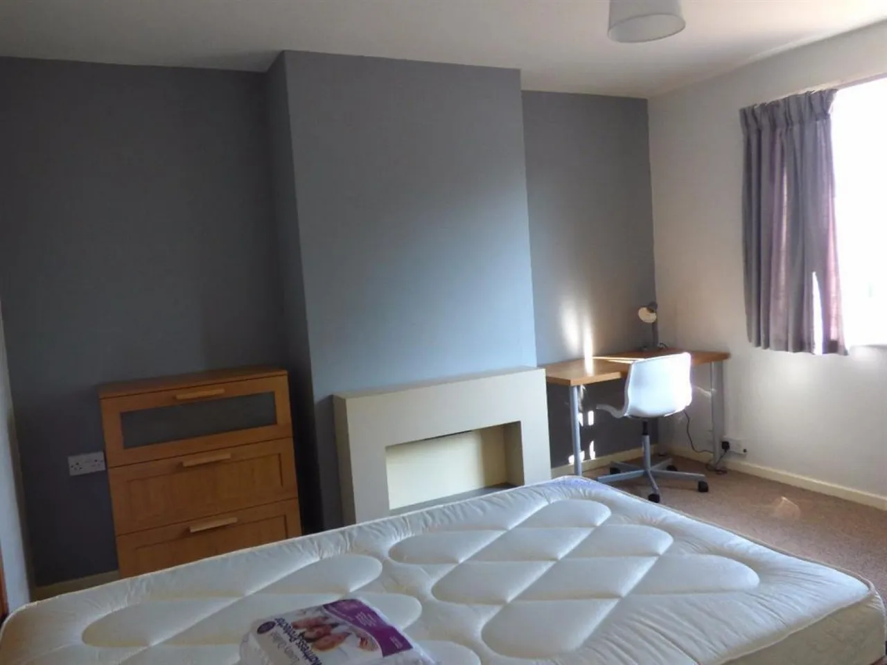 Prince Charles Road, Exeter, EX4, photo 7