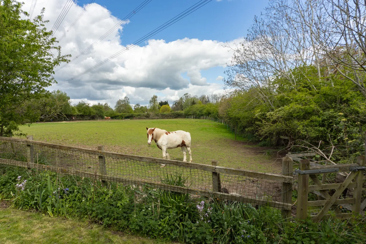 Sandfields Barn, Station Road, Rothley, Leicester, Leicester, LE7 7LD, photo 24