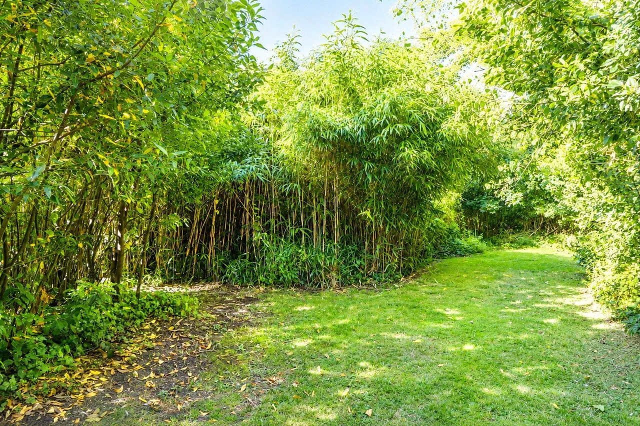 Northam Road, Bideford, photo 40