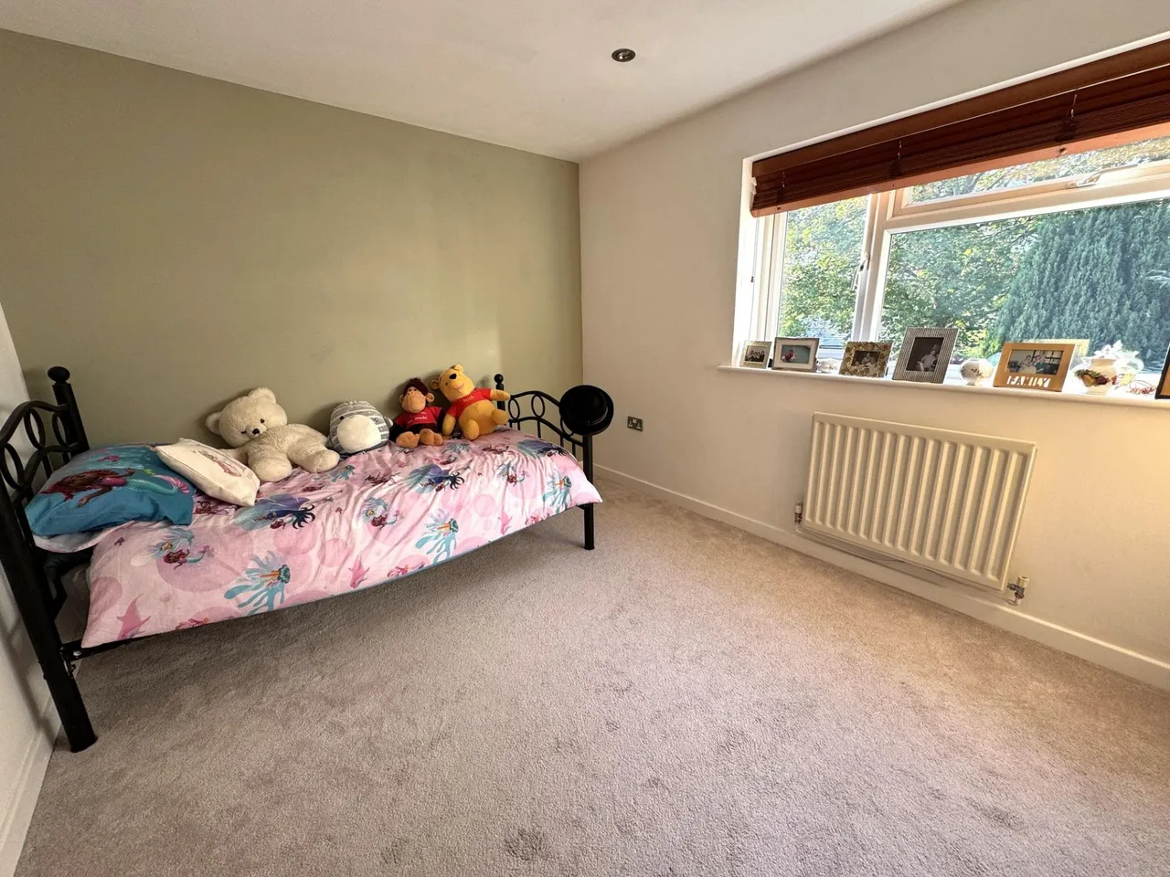 Newton Road, Burton-On-Trent, DE15, photo 25