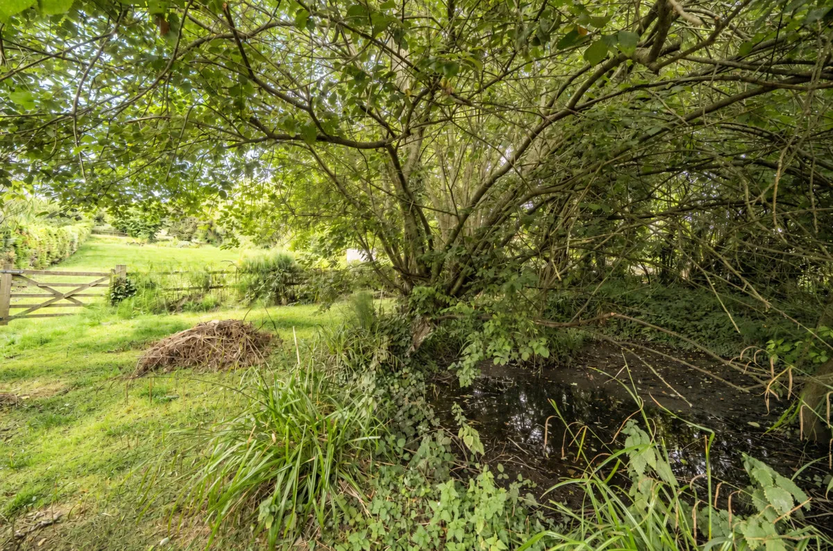 West Hill, Wincanton, BA9, photo 24