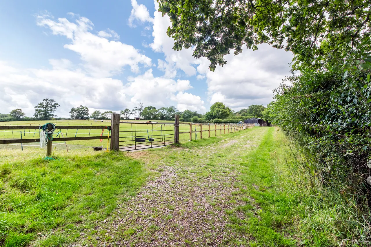 Rooks Farm, Brook, Lyndhurst, Lyndhurst, SO43 7HD, photo 27