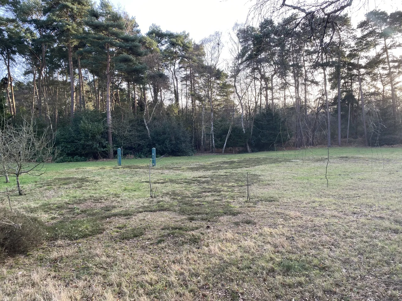 Birch Lane, Ascot, SL5, photo 2