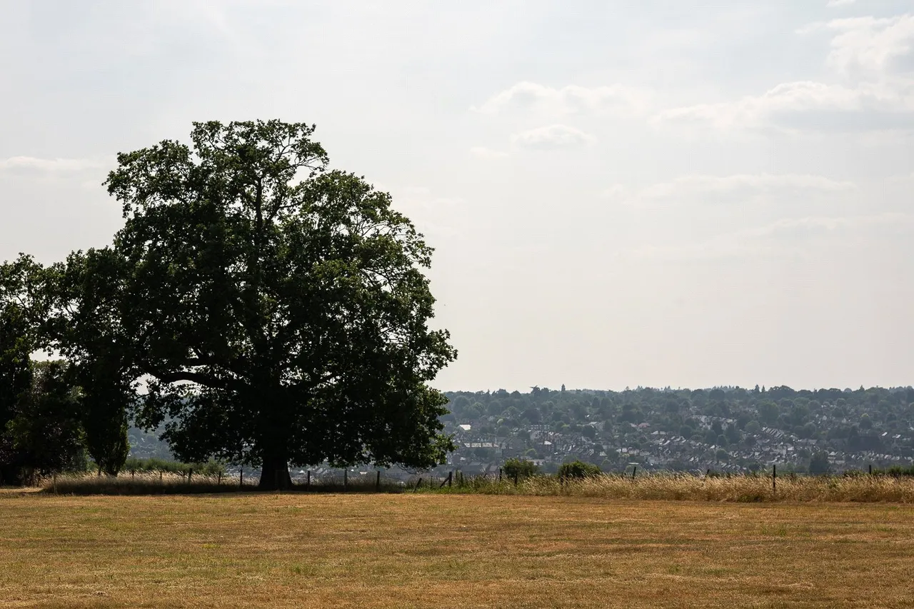 Castle Village, Berkhamsted, photo 24