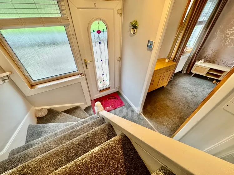Larch Terrace, Beith, KA15, photo 13