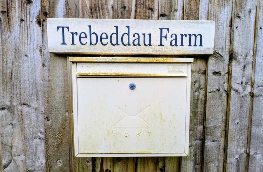 Trebeddau Farm, Mountain Hare, photo 37