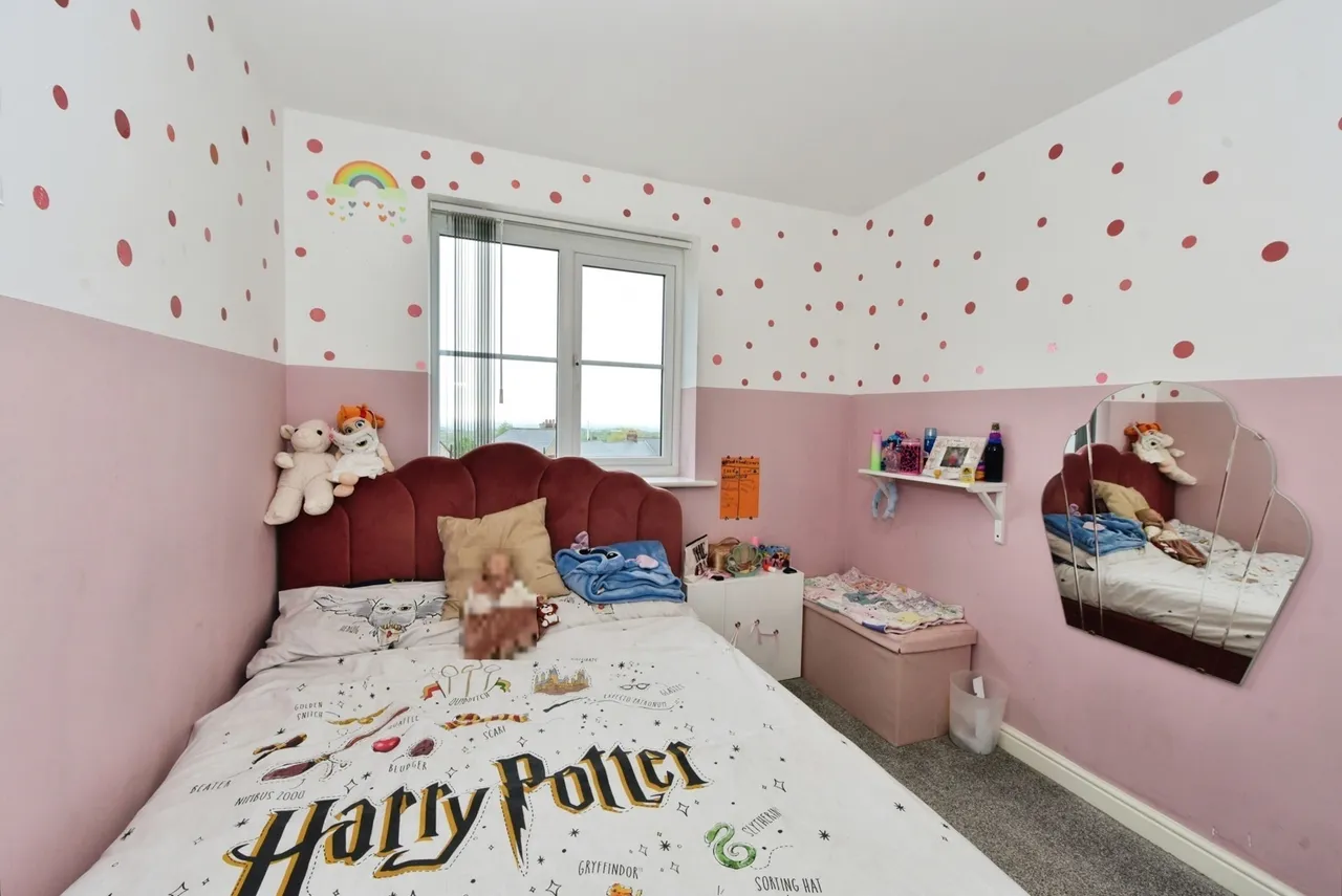 Archdale Road, Sheffield, South Yorkshire, S2, photo 18