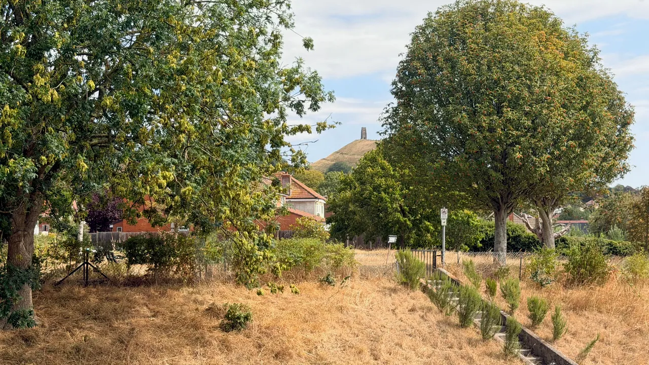Butleigh Road, Glastonbury, photo 3