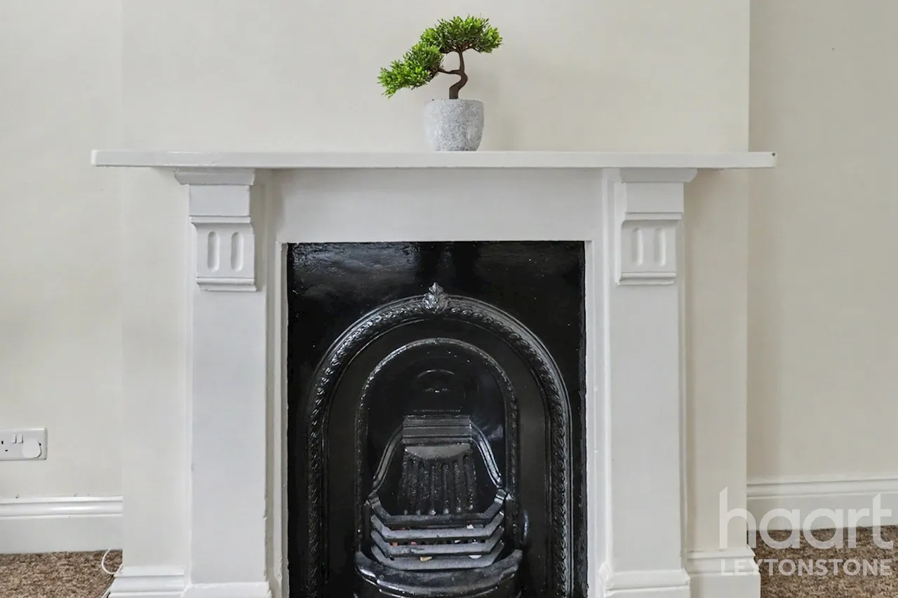 Selby Road, London, E11, photo 22