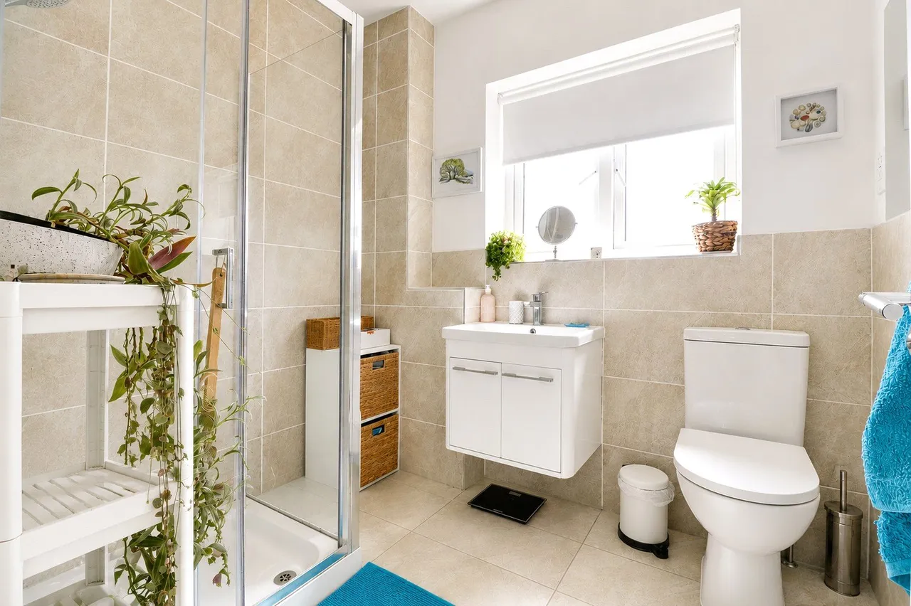 Honey Farm Close, South Molton, EX36, photo 11