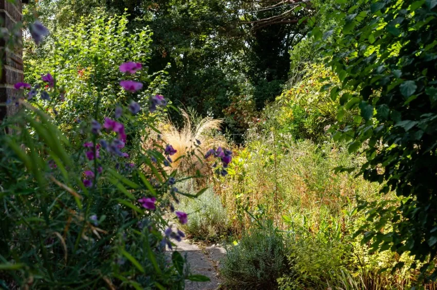 High Road, Brightwell-cum-Sotwell, OX10, photo 33