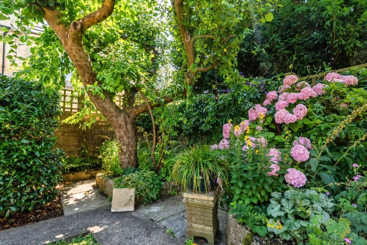 Park Gardens, Bath, BA1, photo 9
