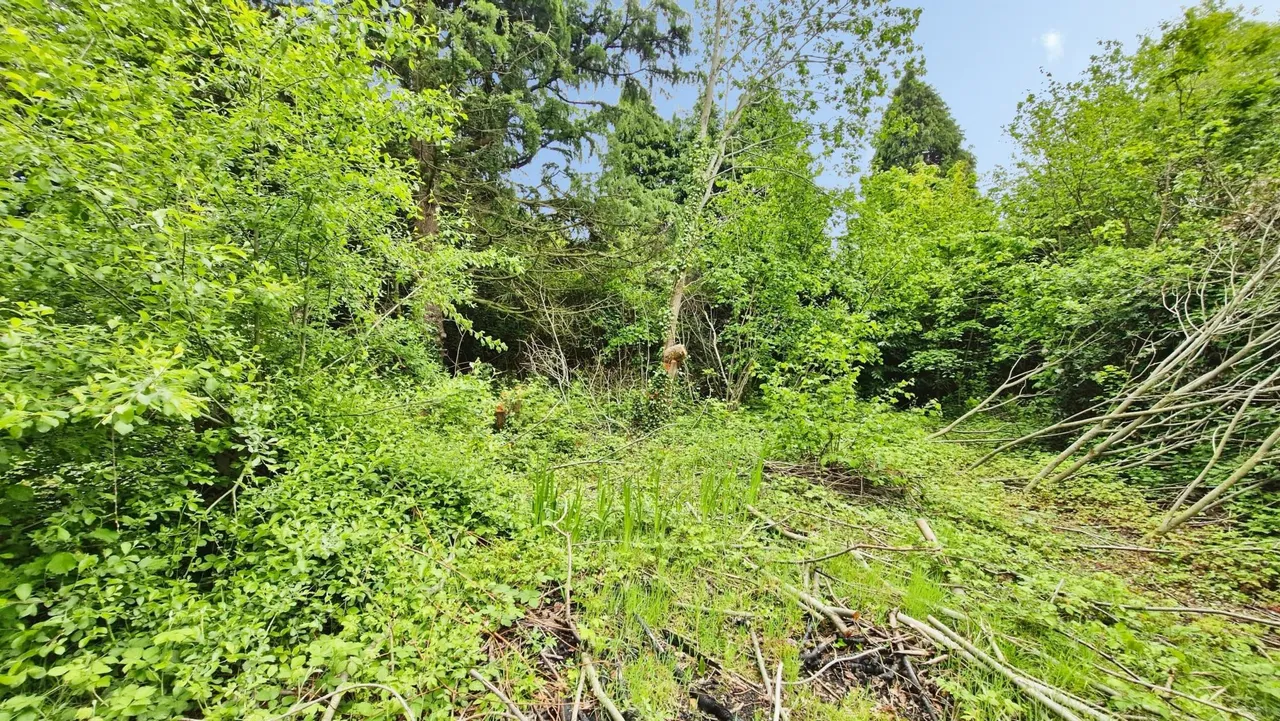 Station Road, Telford, TF4, photo 8