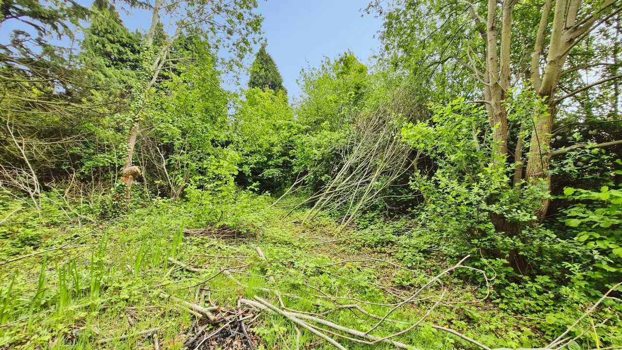 Station Road, Telford, TF4, photo 5