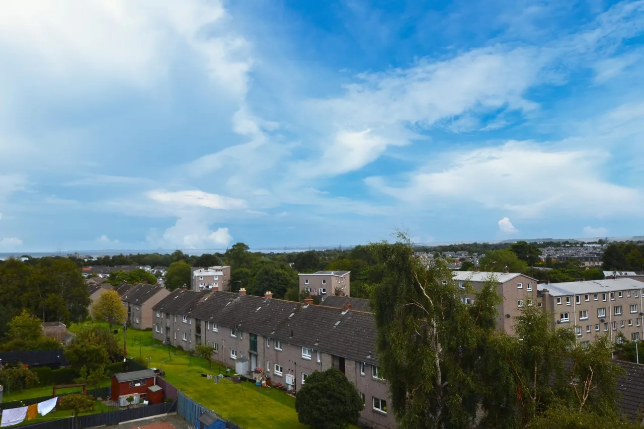 Northfield Farm Avenue, Edinburgh, EH8, photo 14