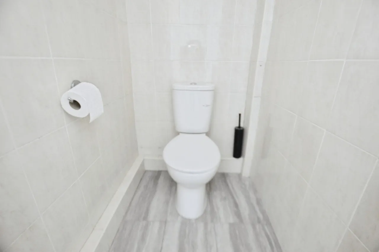 Kildare Road, London, E16, photo 15