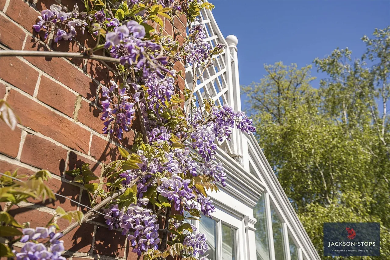 The Avenue, Newmarket, CB8, photo 41