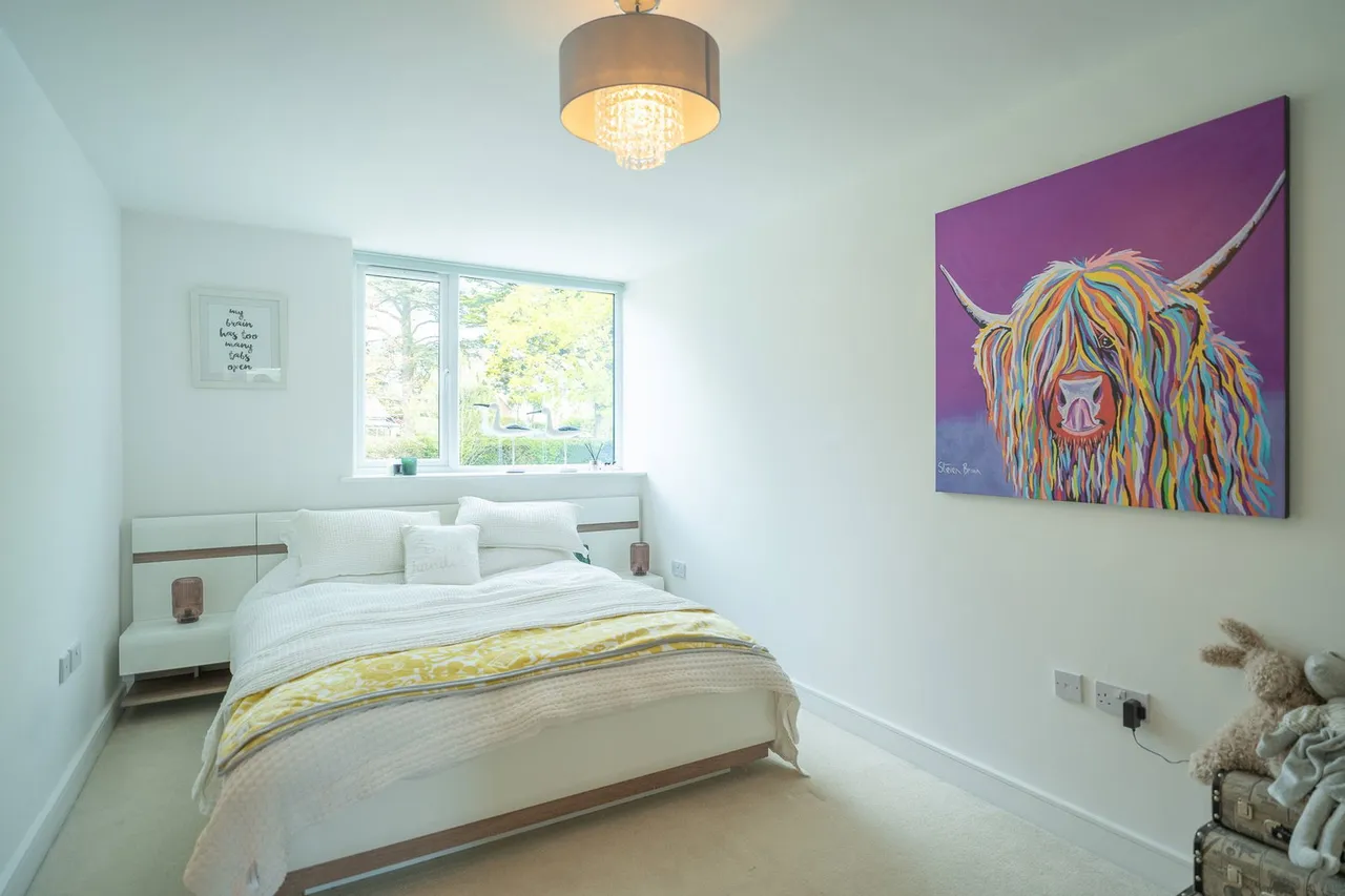 Douglas Avenue, Exmouth, EX8, photo 14