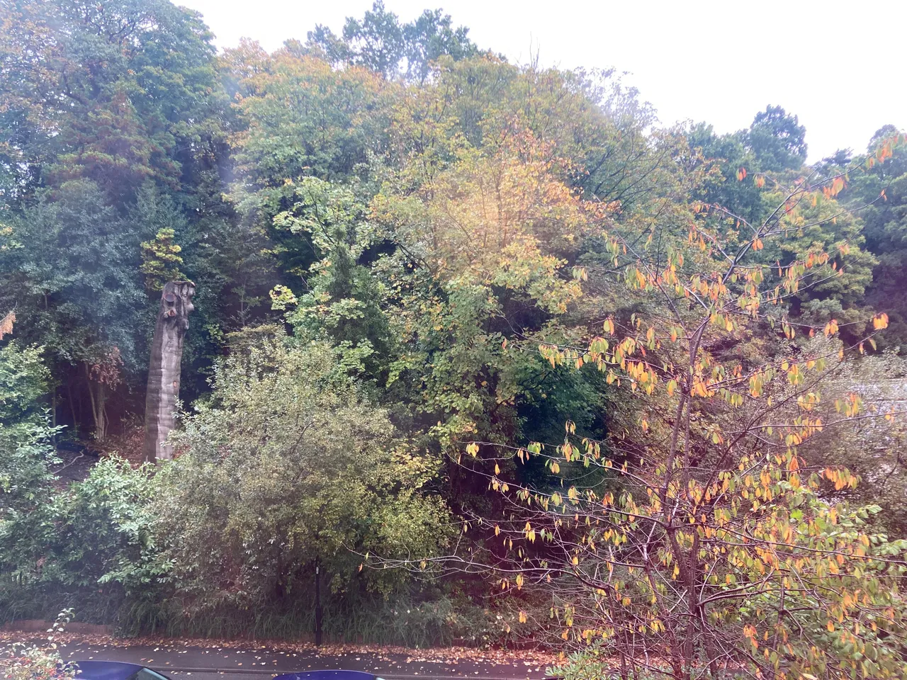 Copperfield Road, Bassett, SO16, photo 16