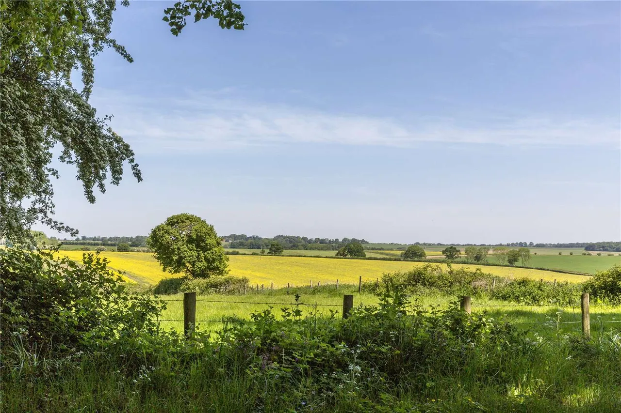 Brightwalton, Newbury, RG20, photo 32