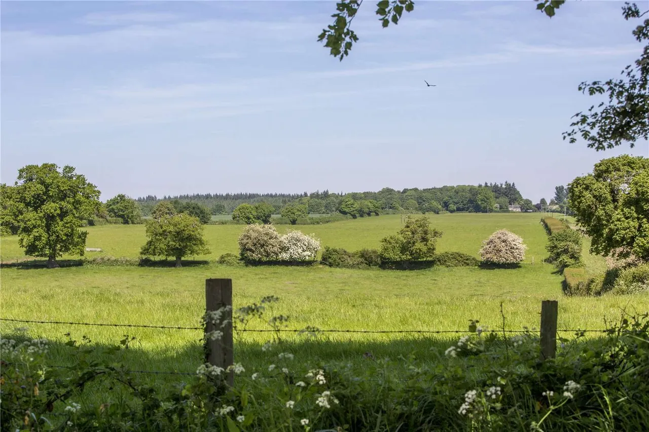 Brightwalton, Newbury, RG20, photo 31