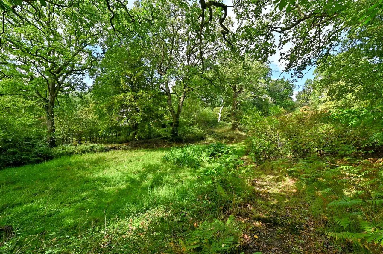 Foxcombe Lane, Boars Hill, Oxford, OX1 5DH, photo 11