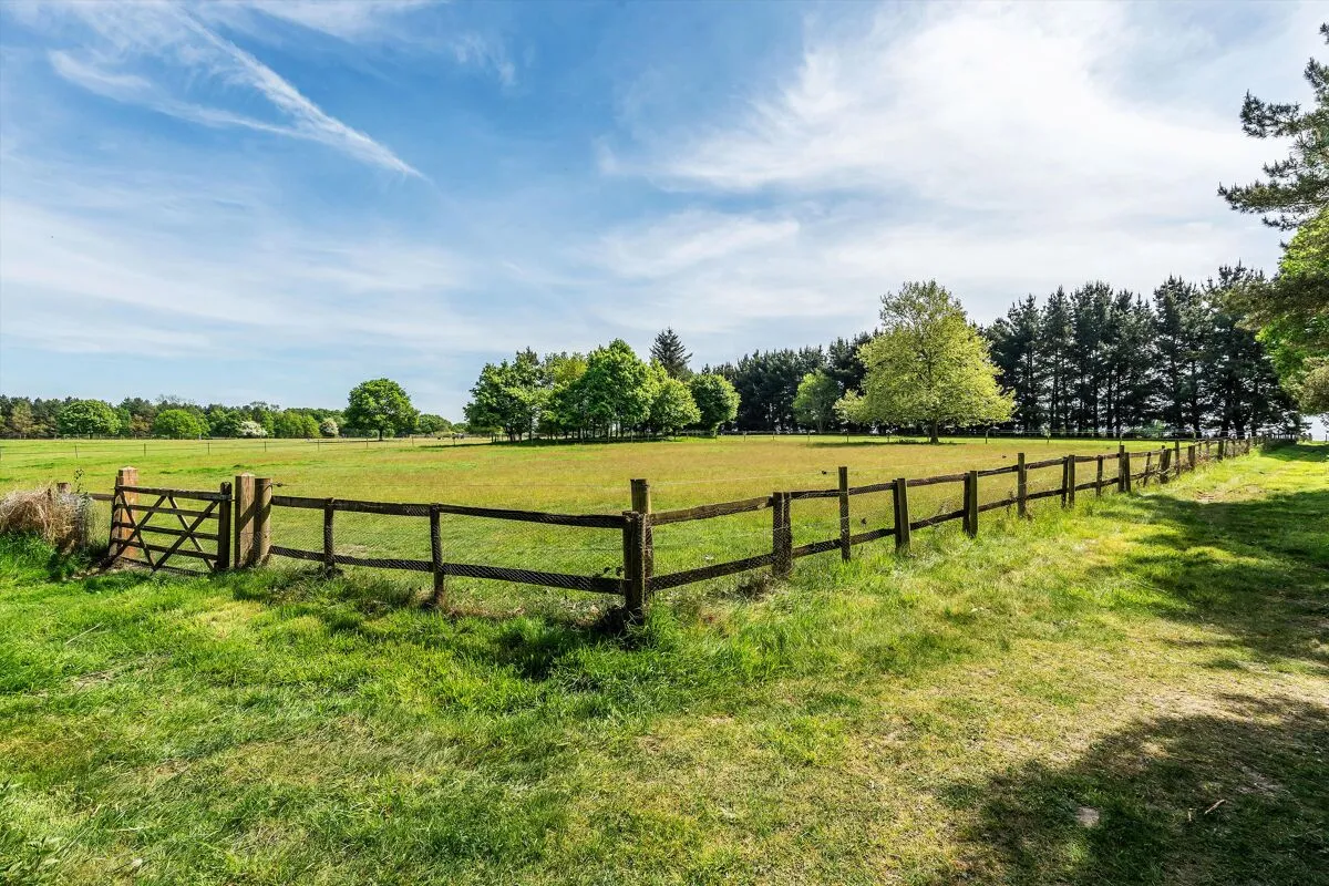 Blanchards Hill, Sutton Green, GU4, photo 28