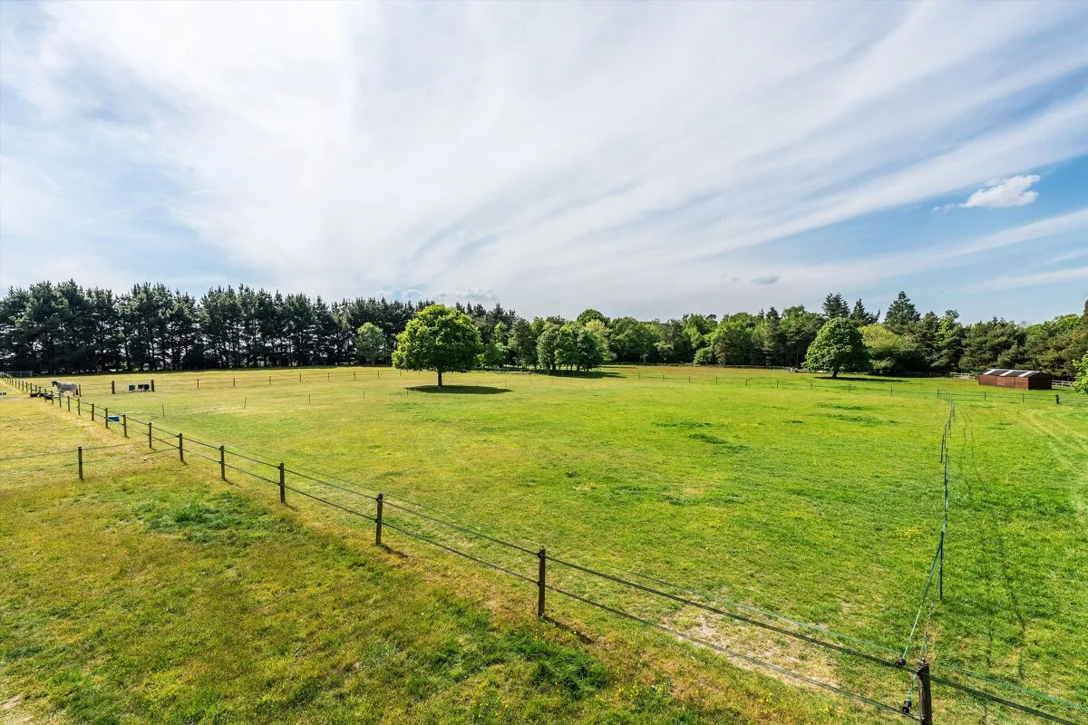 Blanchards Hill, Sutton Green, GU4, photo 27