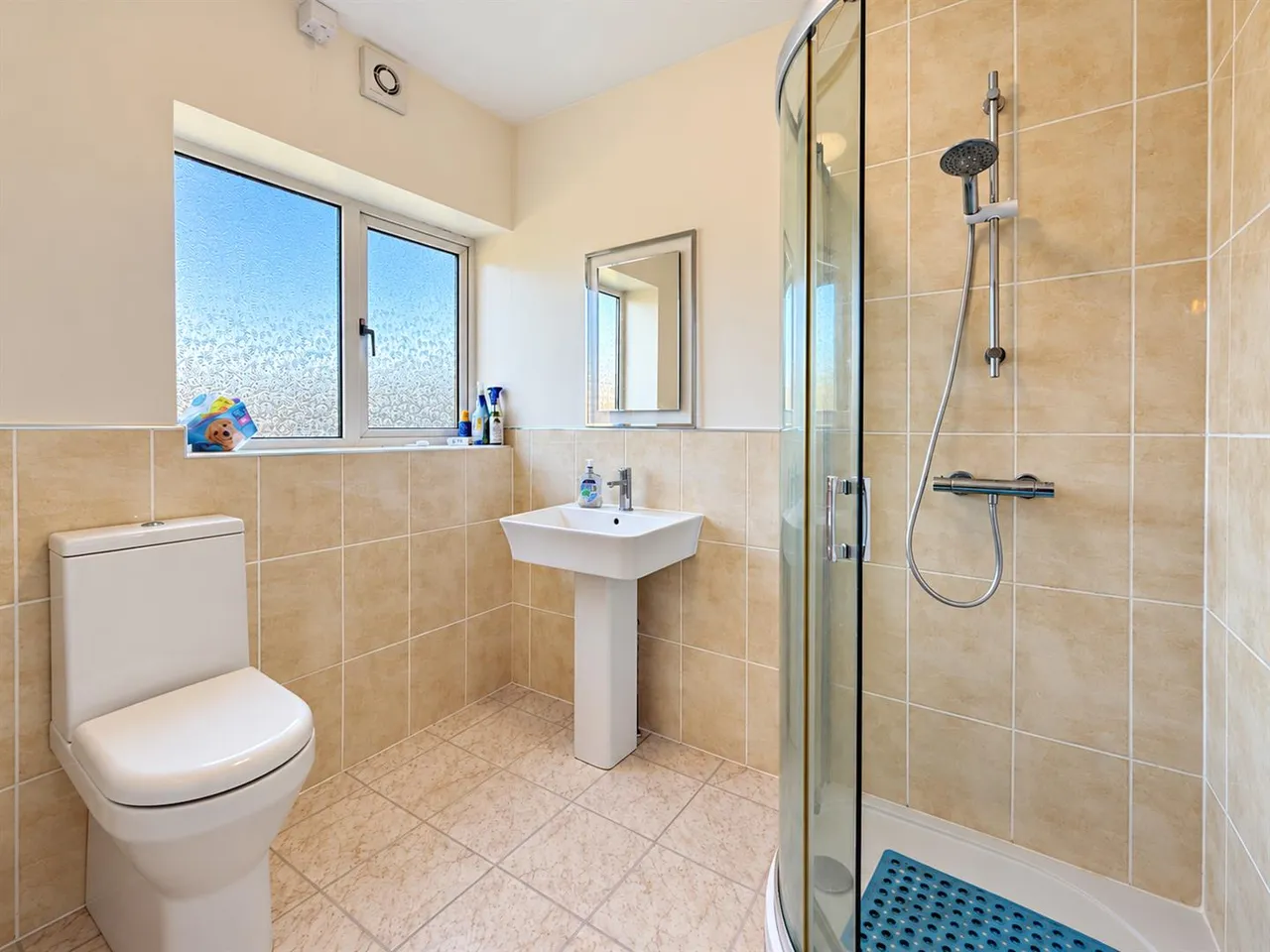 Northfields Lane, Brixham, photo 12
