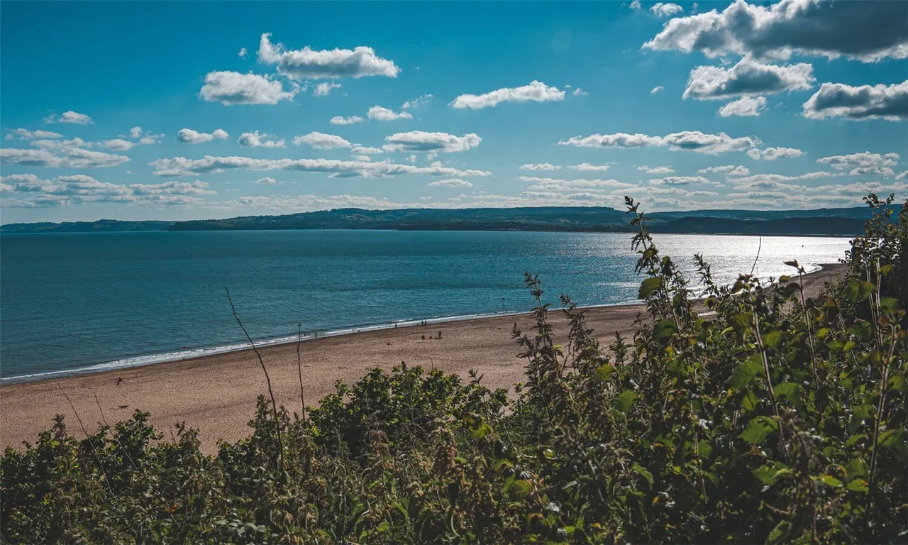 Salterton Road, Exmouth, EX8, photo 7