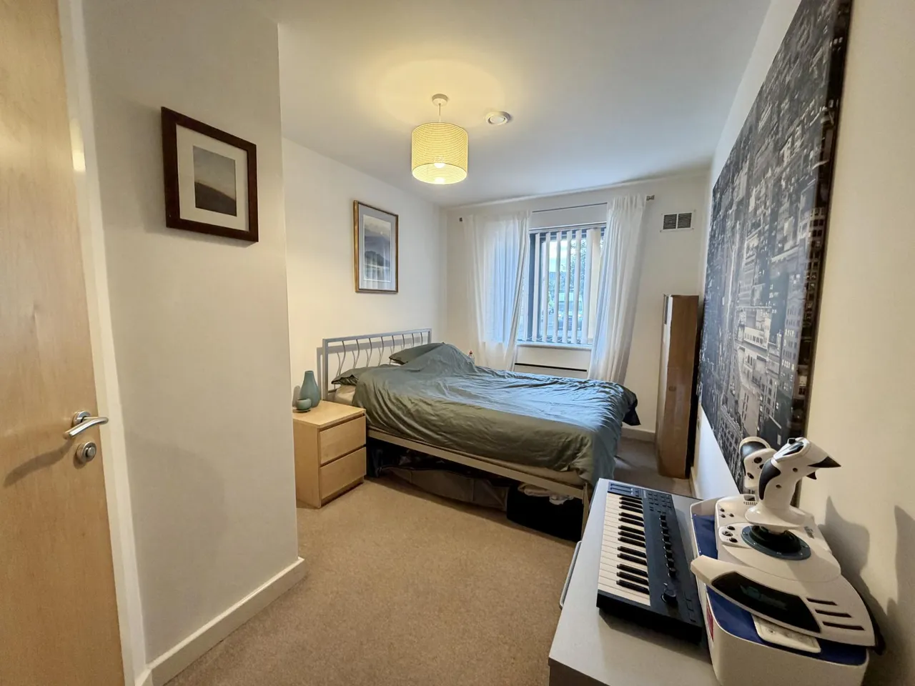 adelaide Lane, Sheffield, S3, photo 9
