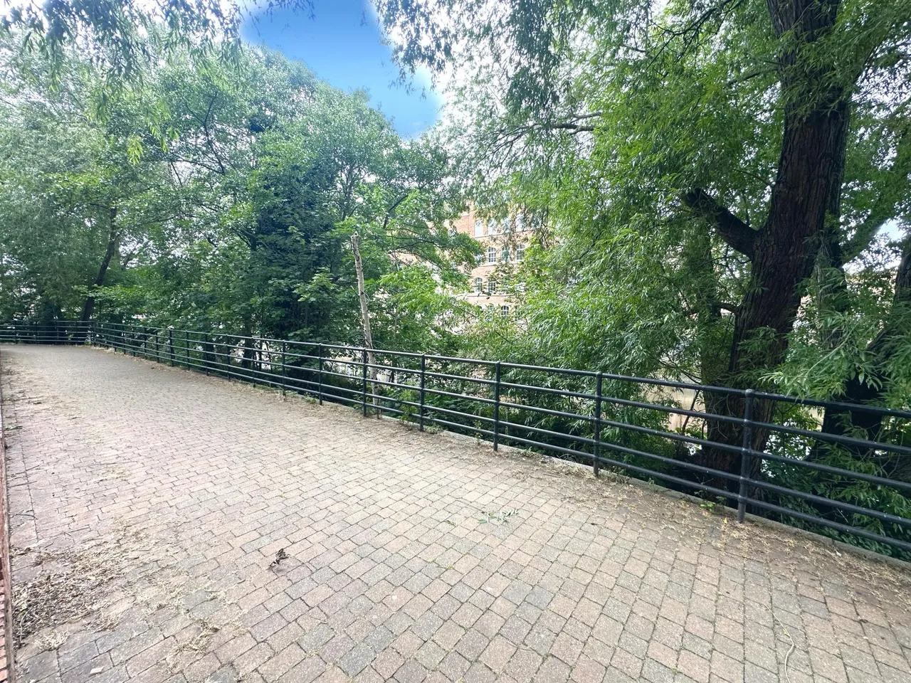 adelaide Lane, Sheffield, S3, photo 23