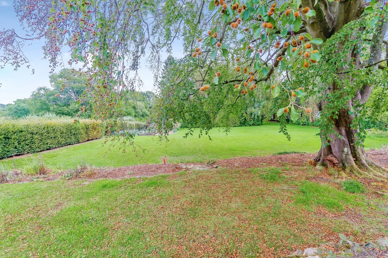 Little London Road, Heathfield, TN21, photo 42