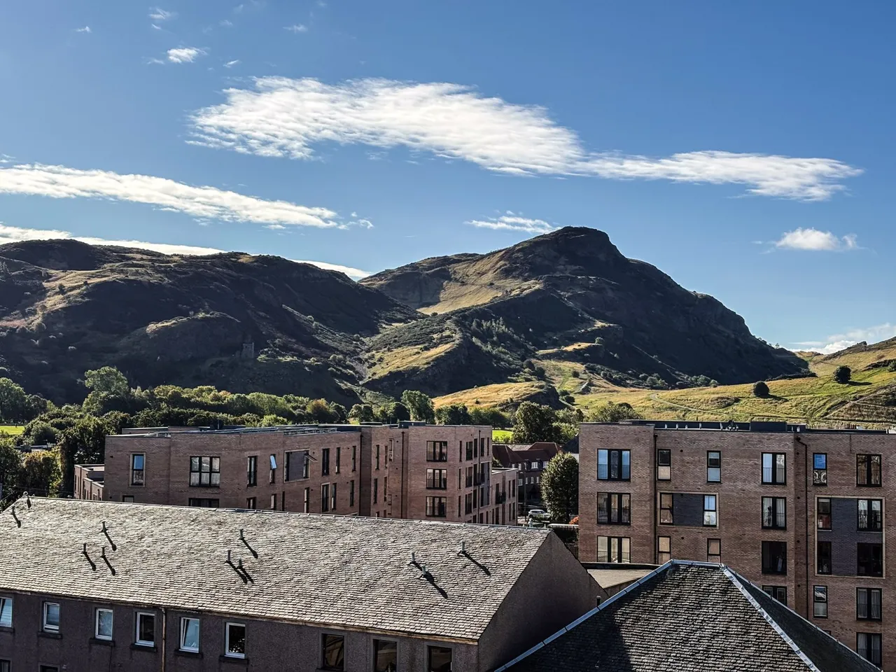 Earlston Place, Abbeyhill, EH7, photo 13