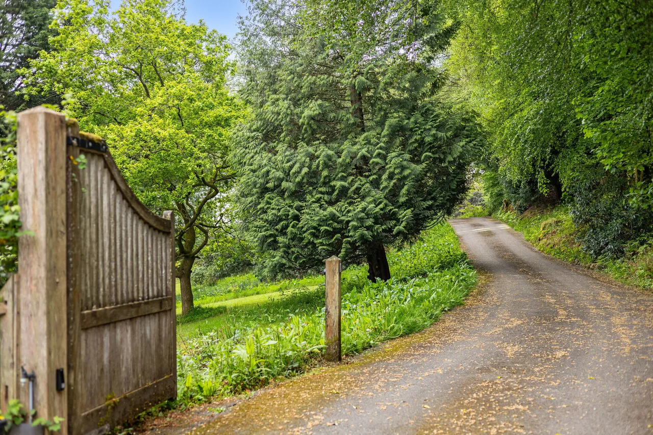 Henley, Haslemere, GU27, photo 12