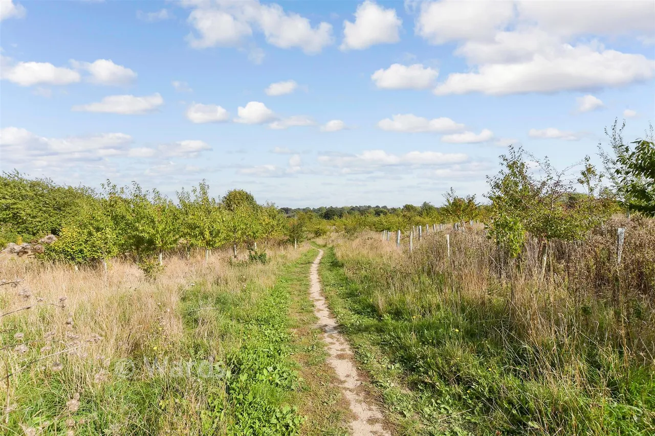 Linton Road, Loose, ME15, photo 12