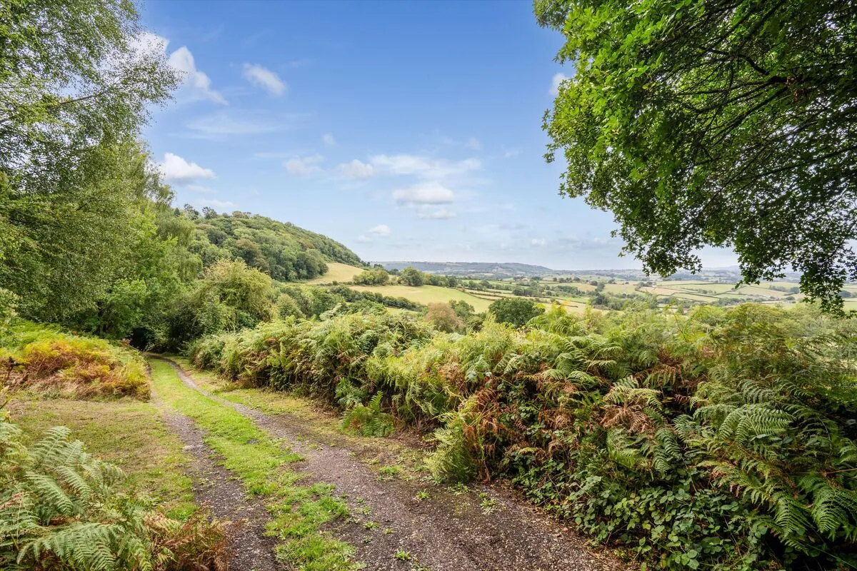 Llanishen, Chepstow, NP16, photo 16