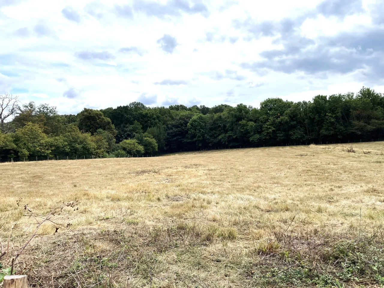Half Moon Lane, Tonbridge, TN11, photo 17