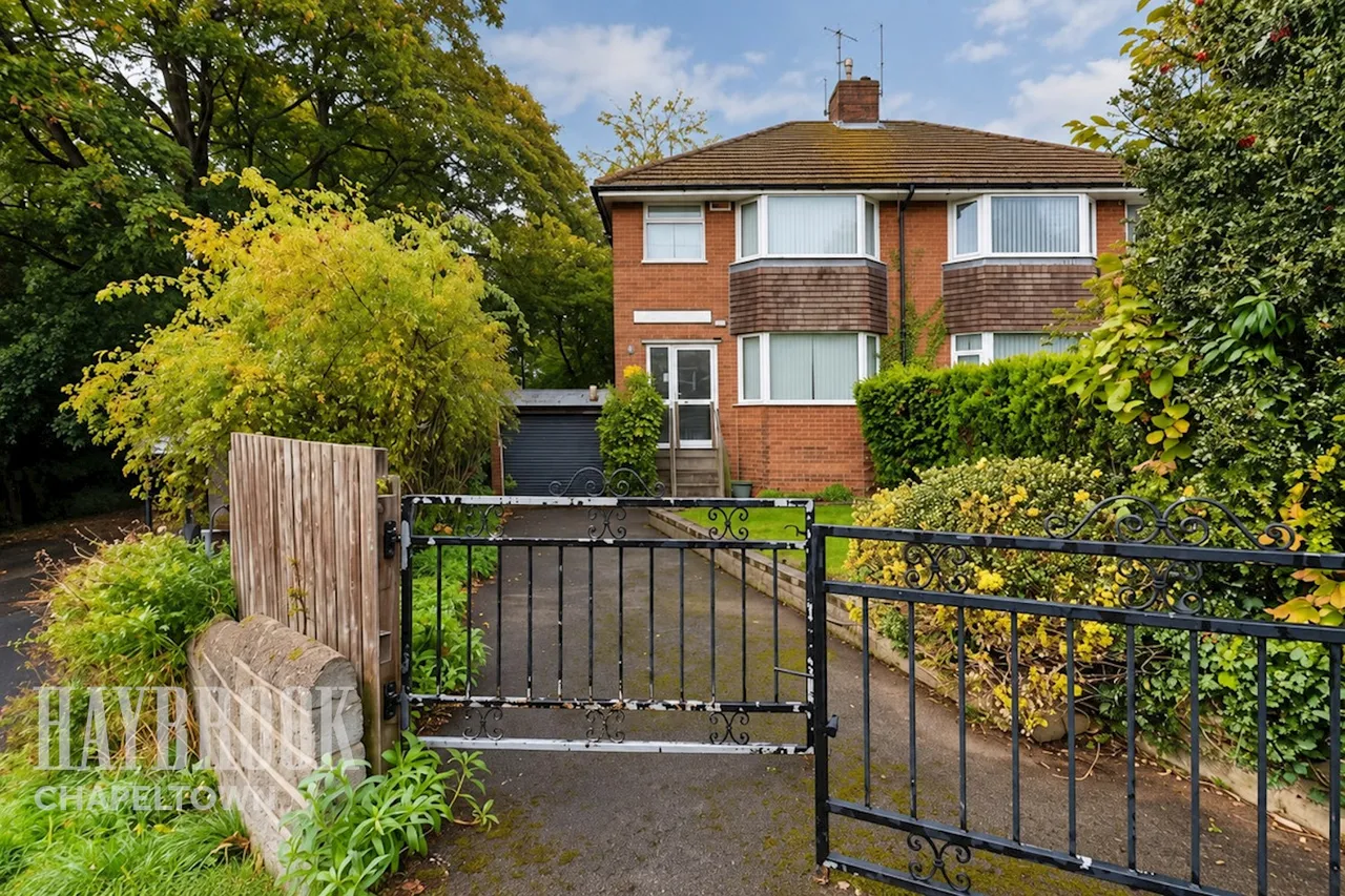 Osgathorpe Drive, Pitsmoor, photo 20
