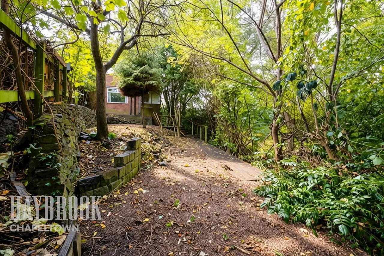 Osgathorpe Drive, Pitsmoor, photo 2