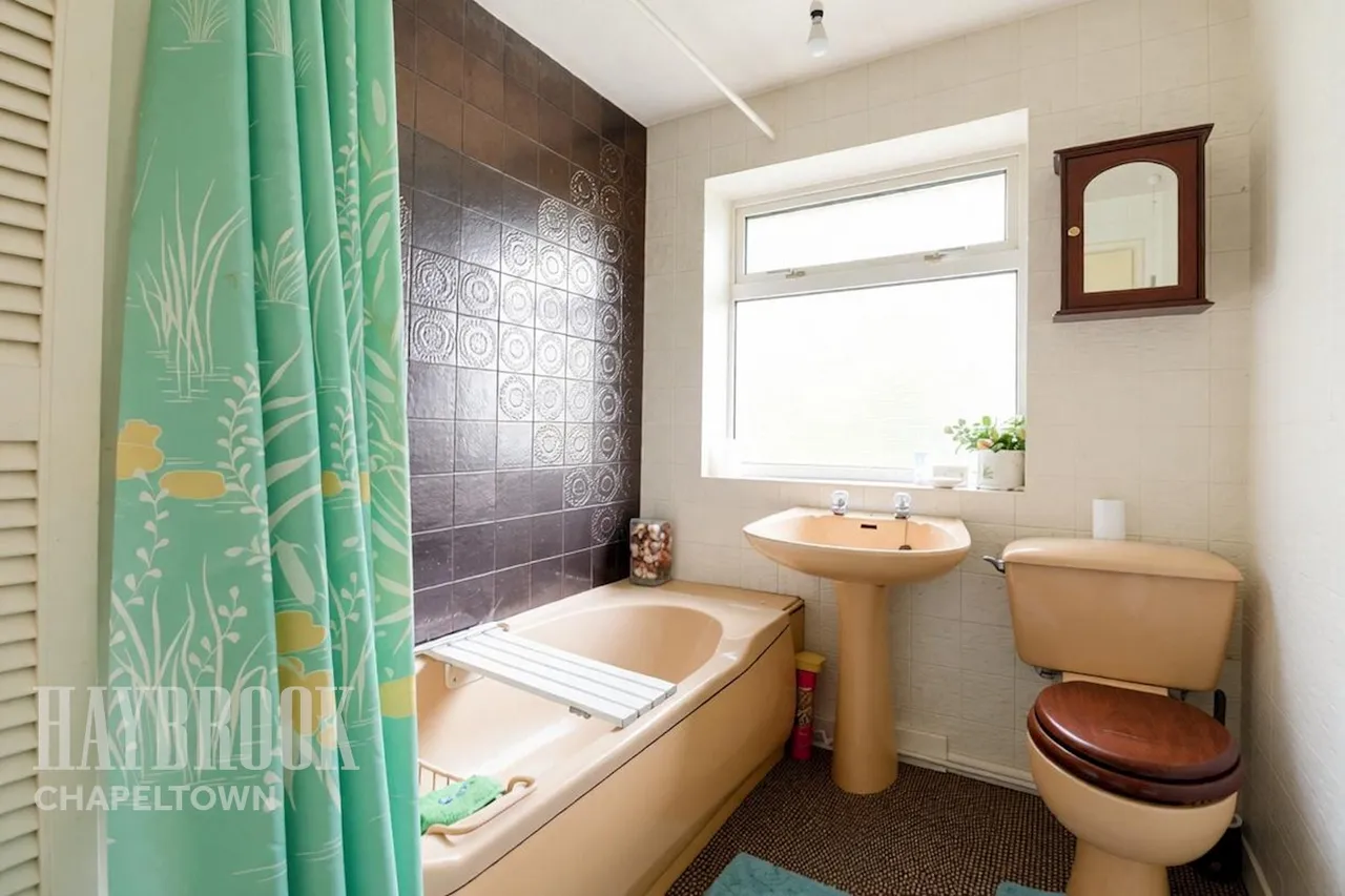 Osgathorpe Drive, Pitsmoor, photo 17