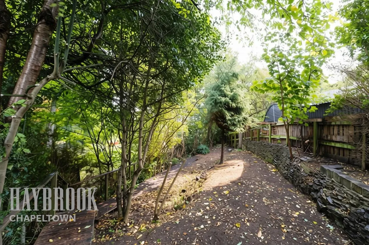 Osgathorpe Drive, Pitsmoor, photo 19