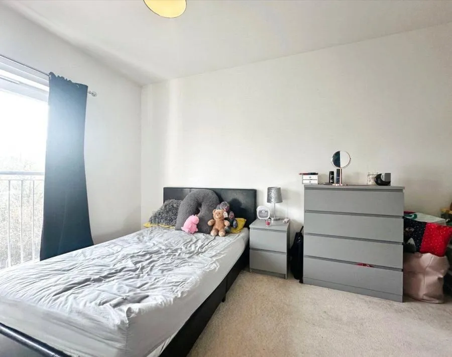 Skippetts Gardens, Basingstoke, RG21, photo 5